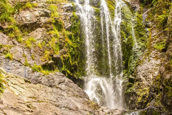 Vackra vattnet faller i skogen — Stockfoto