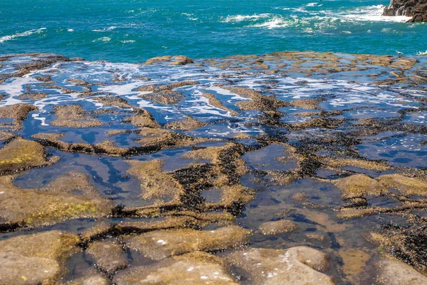 Playa muriwai, salpicaduras de agua —  Fotos de Stock