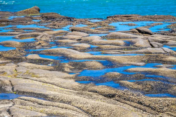 Muriwai beach, stänkande vatten — Stockfoto