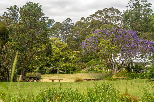 Vue de Kerikeri, baie des Îles — Photo