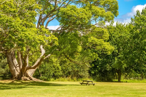 Vue de Kerikeri, baie des Îles — Photo