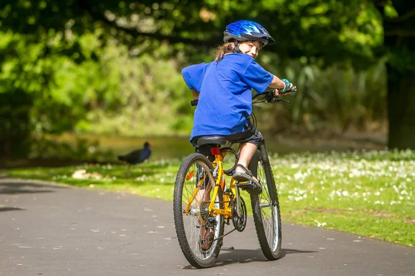 Хлопчик їде на велосипеді на природному парку — стокове фото