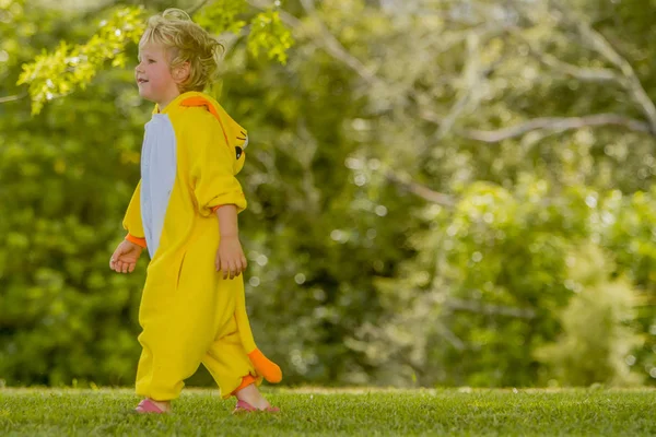 Menino vestido de leão brincando ao ar livre — Fotografia de Stock