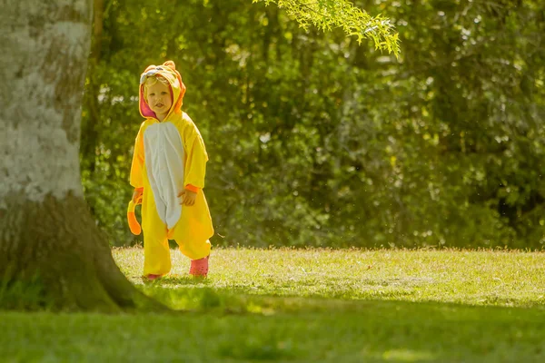 Menino vestido de leão brincando ao ar livre — Fotografia de Stock