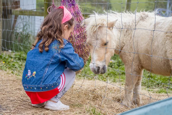 Mladá dívka krmení pony — Stock fotografie