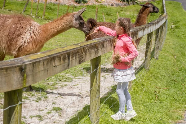 Retrato ao ar livre da menina — Fotografia de Stock