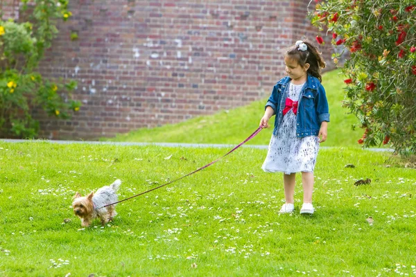 Bir Yorkshire Terrier ile oynayan kız çocuk — Stok fotoğraf