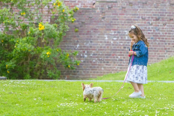 Παιδί κορίτσι παίζει με ένα τεριέ του Γιορκσάιρ — Φωτογραφία Αρχείου