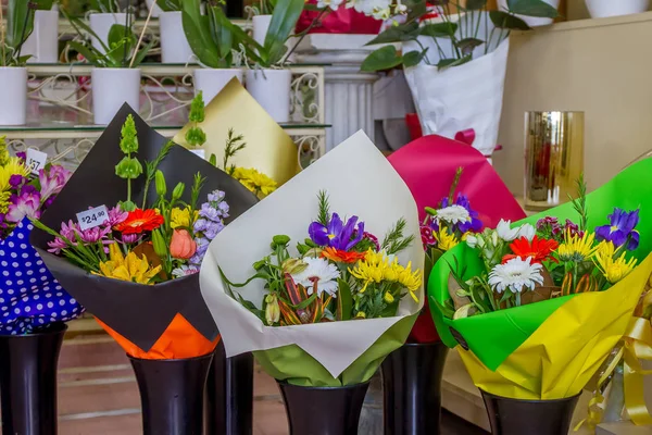 Květinový trh, květiny v květináčích — Stock fotografie