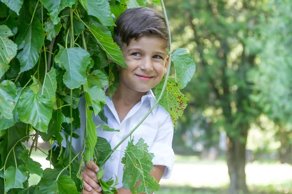 Knappe kind jongen — Stockfoto