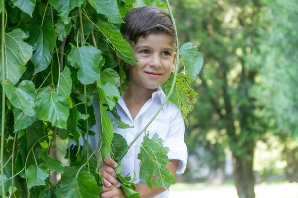 Knappe kind jongen — Stockfoto