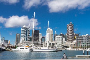 Auckland, Yeni Zelanda Manzarası
