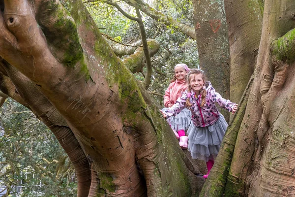 Deux filles se tient sur l'arbre — Photo