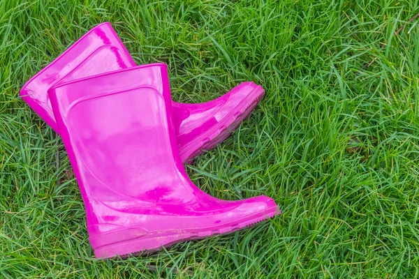 Botas de goma rosa brillante —  Fotos de Stock