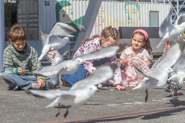 Dzieci karmić ptaki w parku — Zdjęcie stockowe