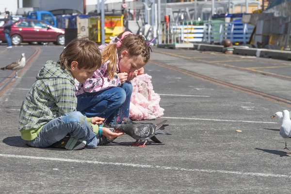 Niños alimentando aves en el parque — Foto de Stock