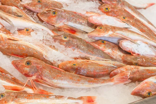 Свежие морепродукты на рынке рыбы — стоковое фото