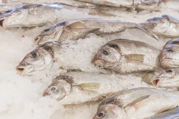 Pesce fresco al mercato del pesce — Foto Stock