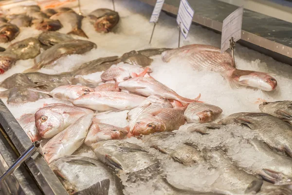 Fresh seafood at fish market — Stock Photo, Image