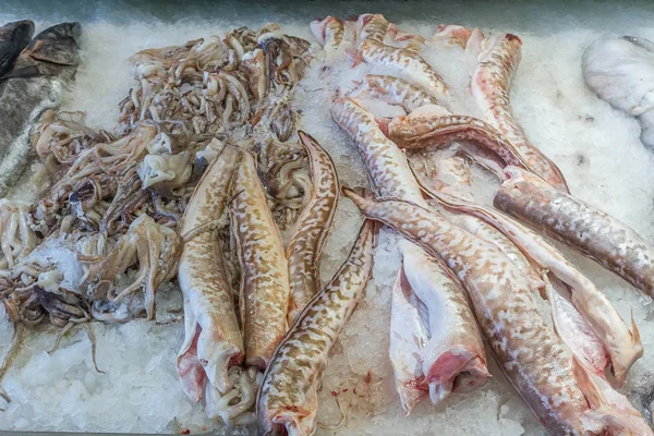 Fresh seafood at fish market — Stock Photo, Image