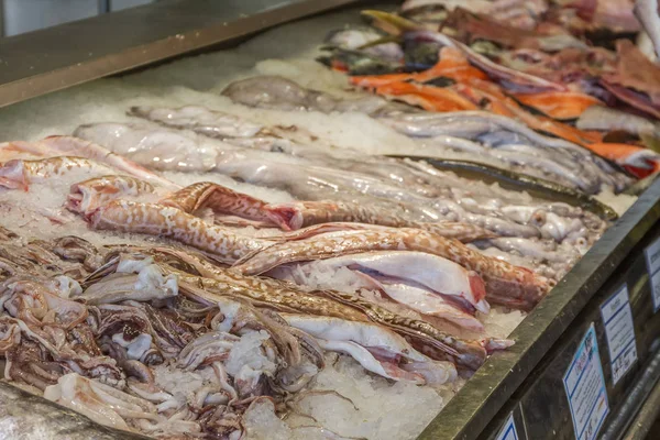 Verse zeevruchten vismarkt — Stockfoto