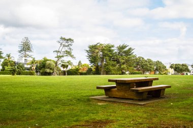 ağaçlar bir parkta, auckland