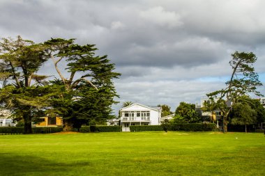 ağaçlar bir parkta, auckland