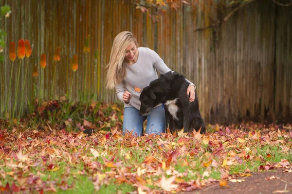 Mulher bonita com cão preto — Fotografia de Stock