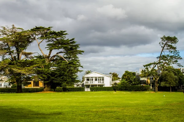 Деревья в парке, Окленд — стоковое фото