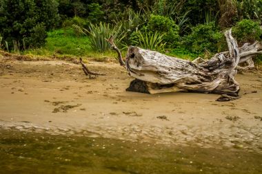 Nehir kıyısında oturum