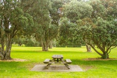 piknik yeri ve ağaçlar Park