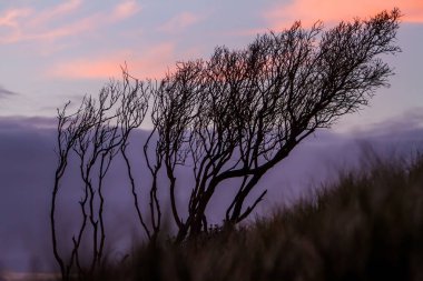günbatımı gökyüzü üzerinde üçlüyü siluetleri