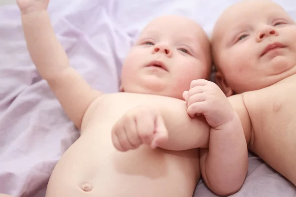 Indoor portrait of baby twins — Stock Photo, Image