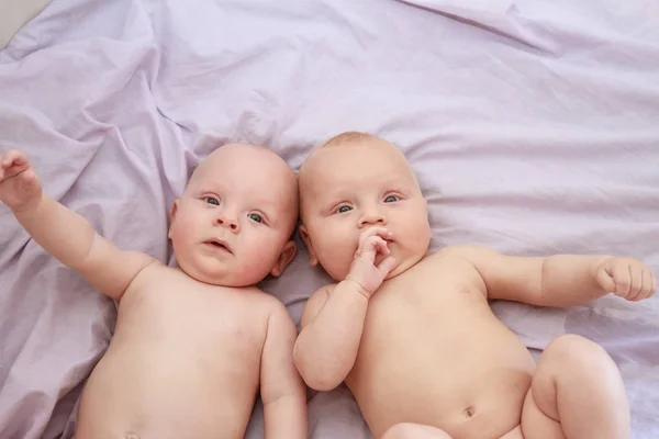 Indoor portrait of baby twins — Stock Photo, Image