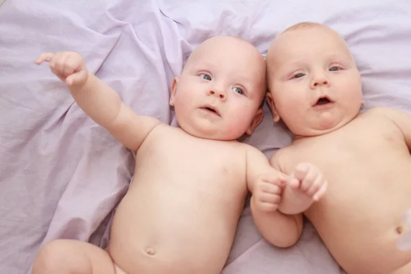 Indoor portrait of baby twins — Stock Photo, Image