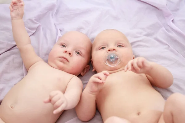 Indoor portrait of baby twins — Stock Photo, Image