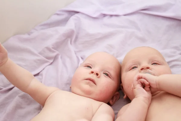 Indoor portrait of baby twins — Stock Photo, Image