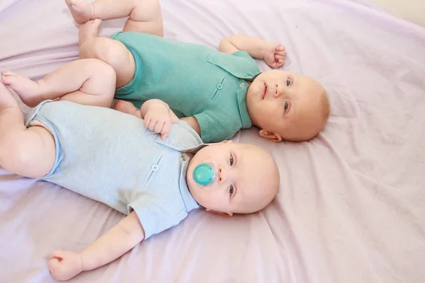 아기 쌍둥이의 실내 초상화 — 스톡 사진
