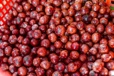 Macadamia fıstığı doku