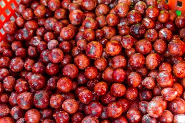 Macadamia fıstığı doku