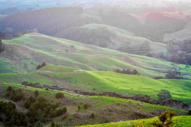 Gün batımında yeşil tepeler
