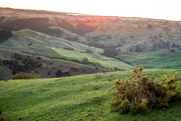 Collines vertes au coucher du soleil — Photo