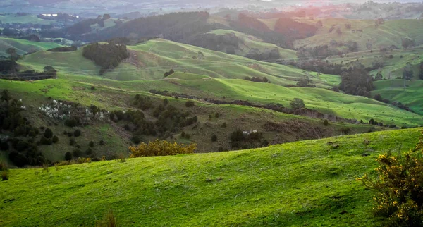 Gün batımında yeşil tepeler