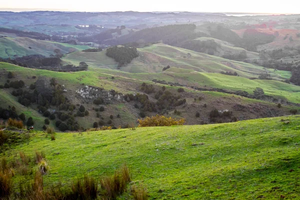 Gün batımında yeşil tepeler