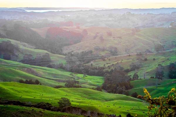 Colinas verdes al atardecer — Foto de Stock