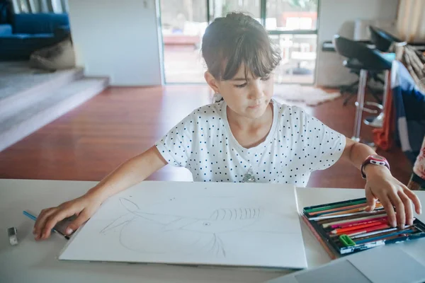 Retrato Interior Niña Caucásica Joven Dibujo Casa Educación Hogar Aprendizaje —  Fotos de Stock