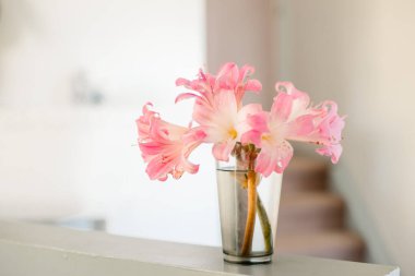 Güzel taze çiçek buketi.