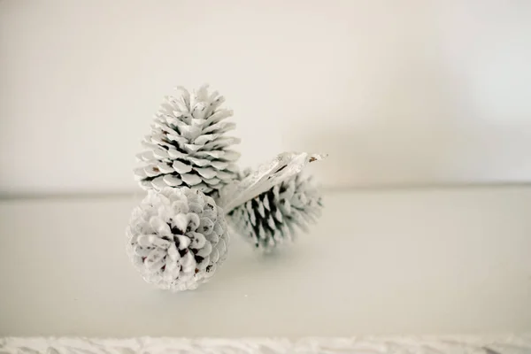 Pigna Come Elemnet Decorativo Sfondo Bianco — Foto Stock