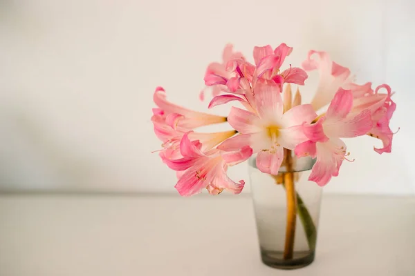 Agradável Buquê Flores Frescas — Fotografia de Stock