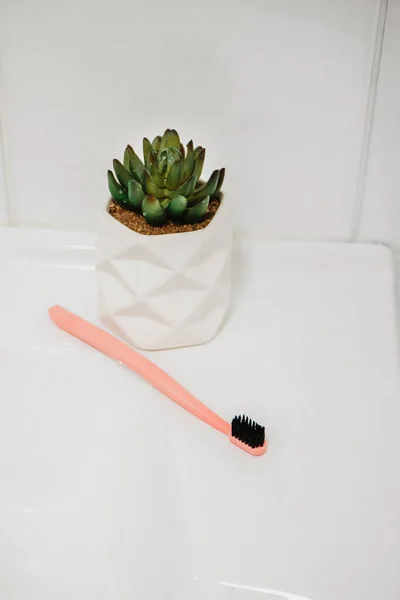 Banyoda Beyaz Diş Fırçaları — Stok fotoğraf